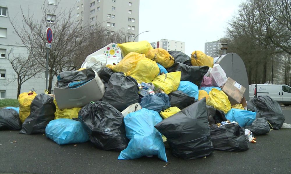 Coreia do Sul consegue reciclar quase todo resíduo alimentar com sistema inovador