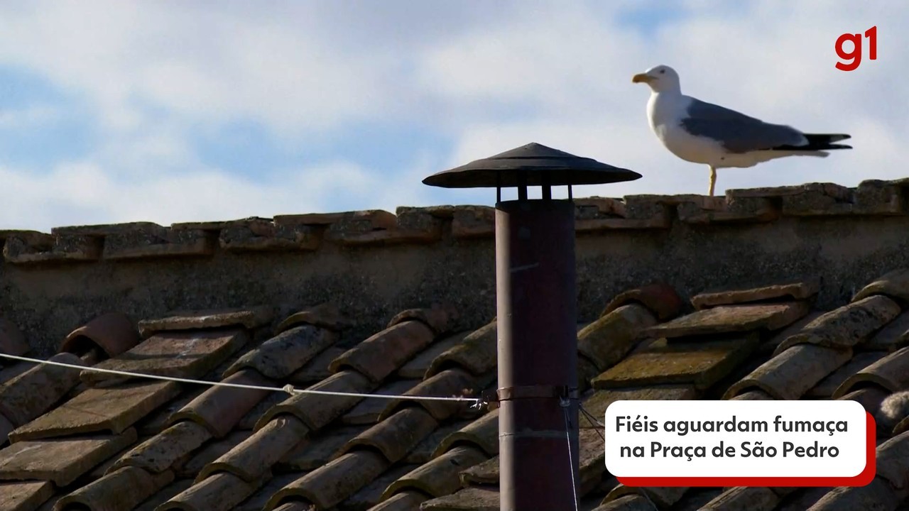 VÍDEO: Gaivota pousa ao lado de chaminé da Capela Sistina durante conclave