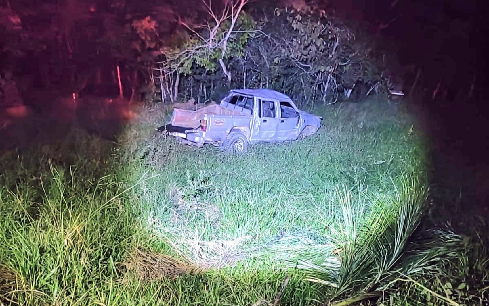 Idoso morre após capotar caminhonete e ser atacado por abelhas em MG