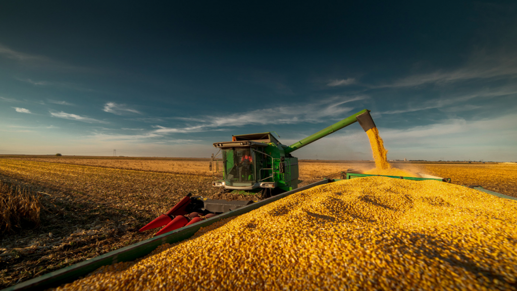Brasil projeta etanol de milho como alternativa sustentável até 2025