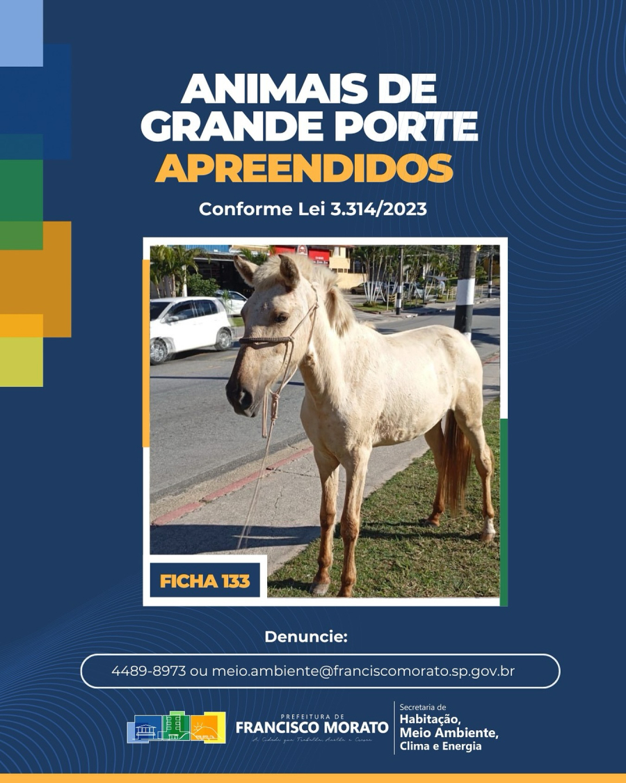 Soltar ou abandonar animais de grande porte nas vias públicas pode acarretar risco a pedestres, motoristas e ciclistas, além de caracterizar maus tratos desses animais