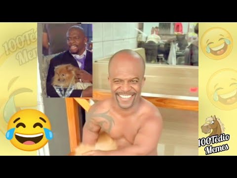 TENTE NÃO RIR - melhores memes e videos engraçados 2025 - #14 #videosengraçados  #humor #memes