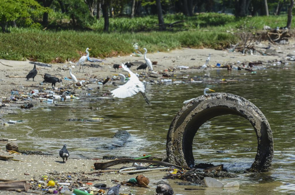 RJ: pescadores retiram 46 toneladas de lixo das Baías de Guanabara e Sepetiba